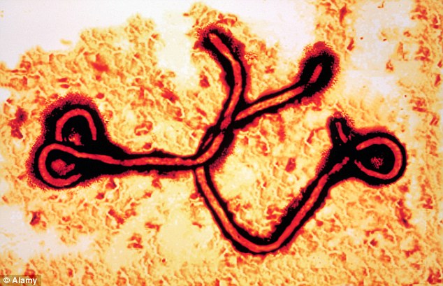 Virus Ebole