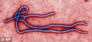Virus Ebole