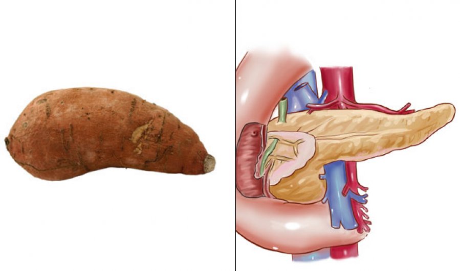 Slatki krompir podseća na oblik pankreasa i izuzetno je zdrav za njega