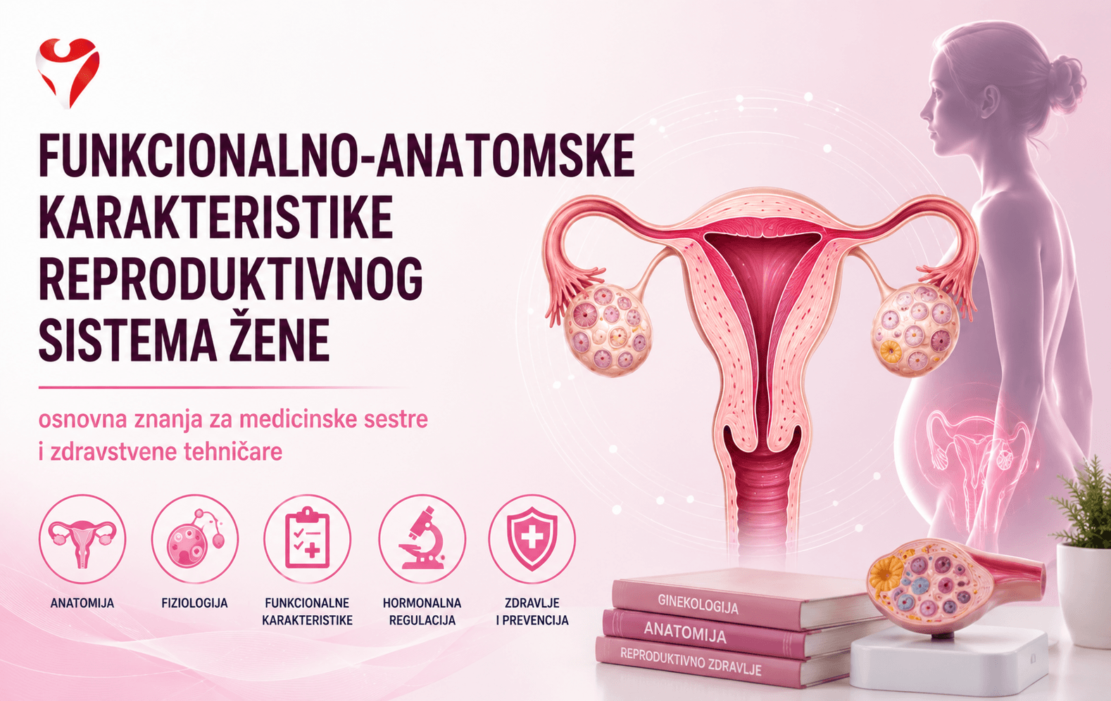 Funkcionalno-anatomske karakteristike reproduktivnog sistema žene – osnovna znanja za medicinske sestre i zdravstvene tehničare